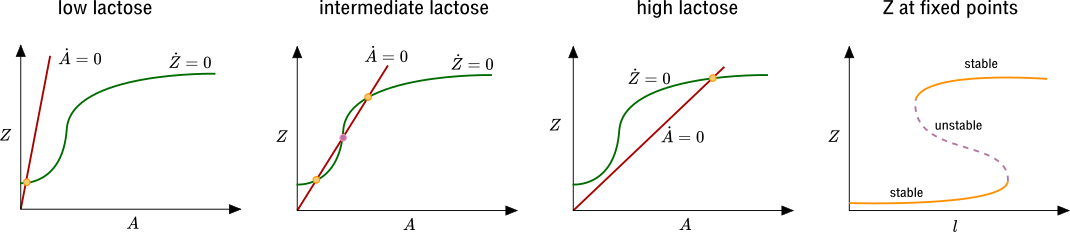 lac_operon_bistable