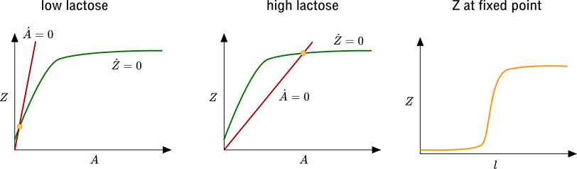 lac_operon_monostable